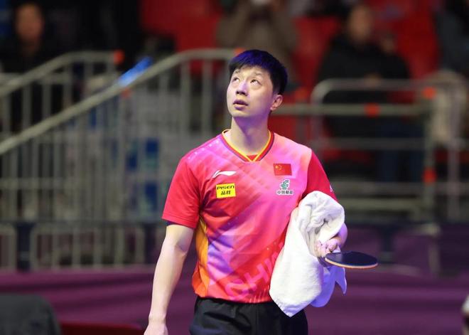 迷的关注 迷的关注